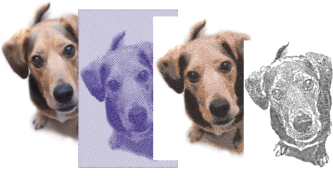 automatic_photos00001.png