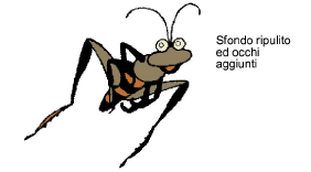 EditImage3.png