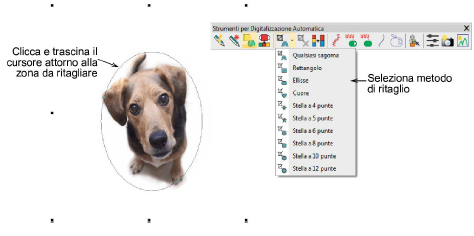bitmaps00063.png