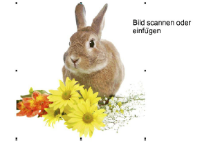 ColorPhotoStitch1.png