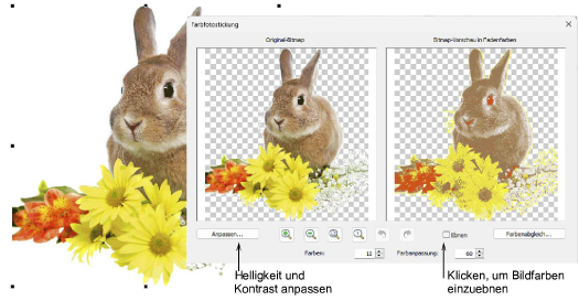 ColorPhotoStitch100058.png