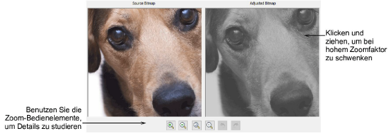 automatic_photos00036.png