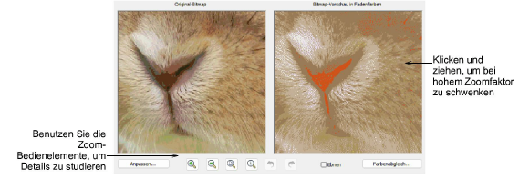 automatic_photos00053.png