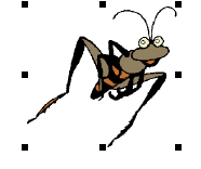 EditImage300091.png