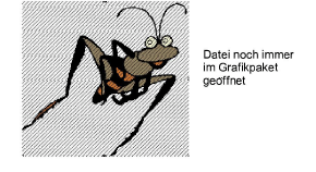 EditImage4.png