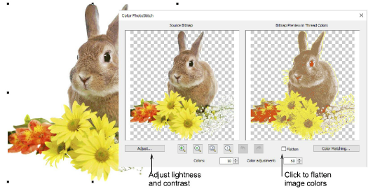 ColorPhotoStitch100058.png