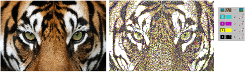 ReefPSTigerCMYK.png