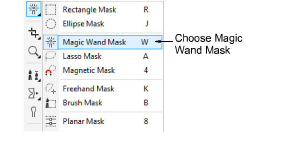 MagicWandMask.png