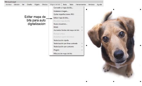 automatic_photos00004.png