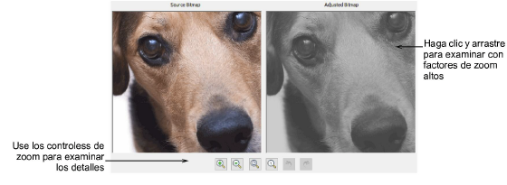 automatic_photos00036.png