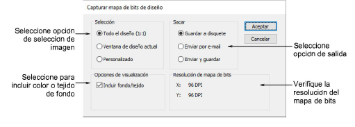 CaptureDesignBitmap.png