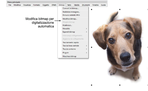 automatic_photos00004.png