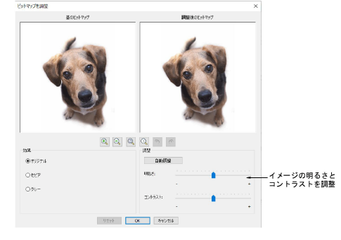 AdjustBitmapPhoto.png