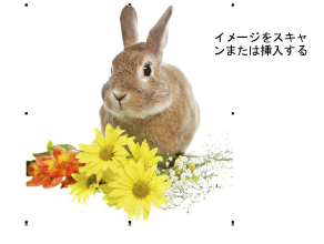 ColorPhotoStitch1.png