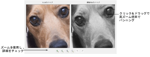 automatic_photos00036.png