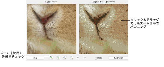 automatic_photos00053.png