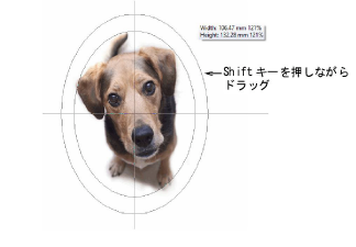 CropDog11.png
