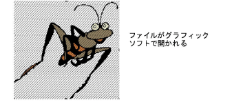 EditImage4.png