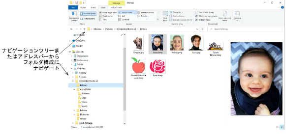 FileExplorerArtwork.png