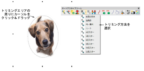 bitmaps00063.png