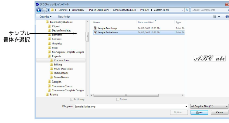 InsertScriptSample.png