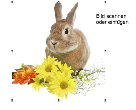 ColorPhotoStitch1.png