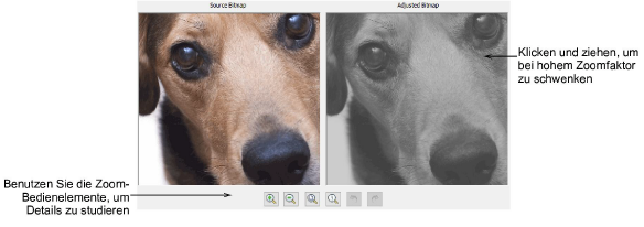 automatic_photos00036.png