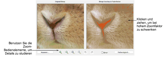 automatic_photos00053.png