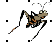 EditImage300091.png