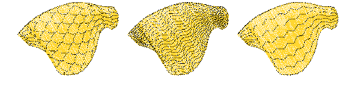 curves00046.png