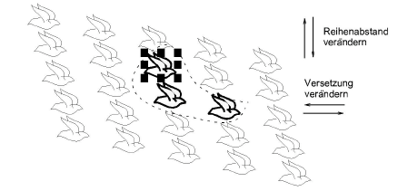 patterns00097.png