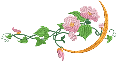 DigitizeShapes.png