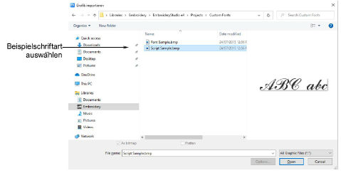 InsertScriptSample.png