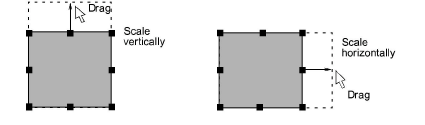 transform00020.png