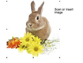 ColorPhotoStitch1.png