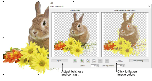 ColorPhotoStitch100058.png