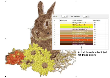 ColorPhotoStitch4.png