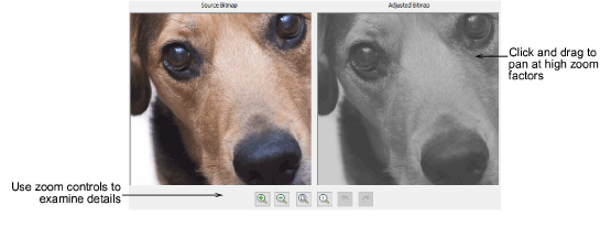 automatic_photos00036.png
