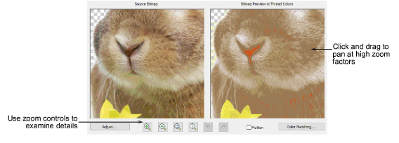 automatic_photos00053.png