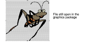 EditImage4.png