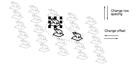patterns00097.png
