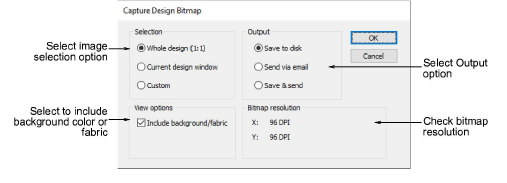 CaptureDesignBitmap.png