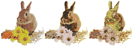 ColorPhotoStitch14.png