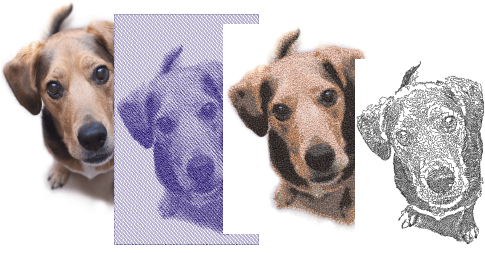 automatic_photos00001.png