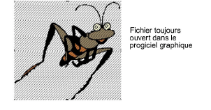 EditImage4.png