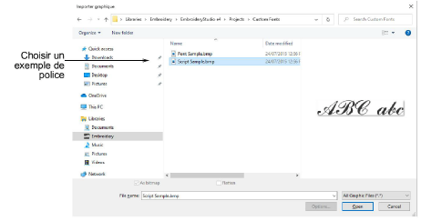 InsertScriptSample.png