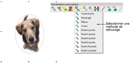 CropDog1.png