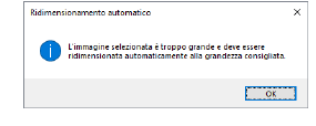 AutomaticResize.png