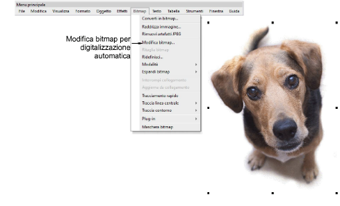 automatic_photos00004.png