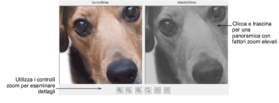automatic_photos00036.png